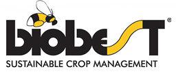 refibo